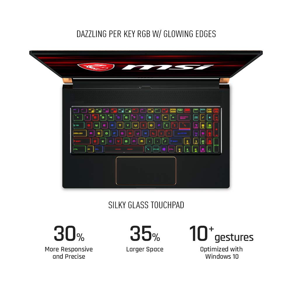 MSI GS75 Stealth-204 17.3" Notebook - i7-8750H -RTX 2060- 16 GB RAM - 256 GB SSD (GS75204)