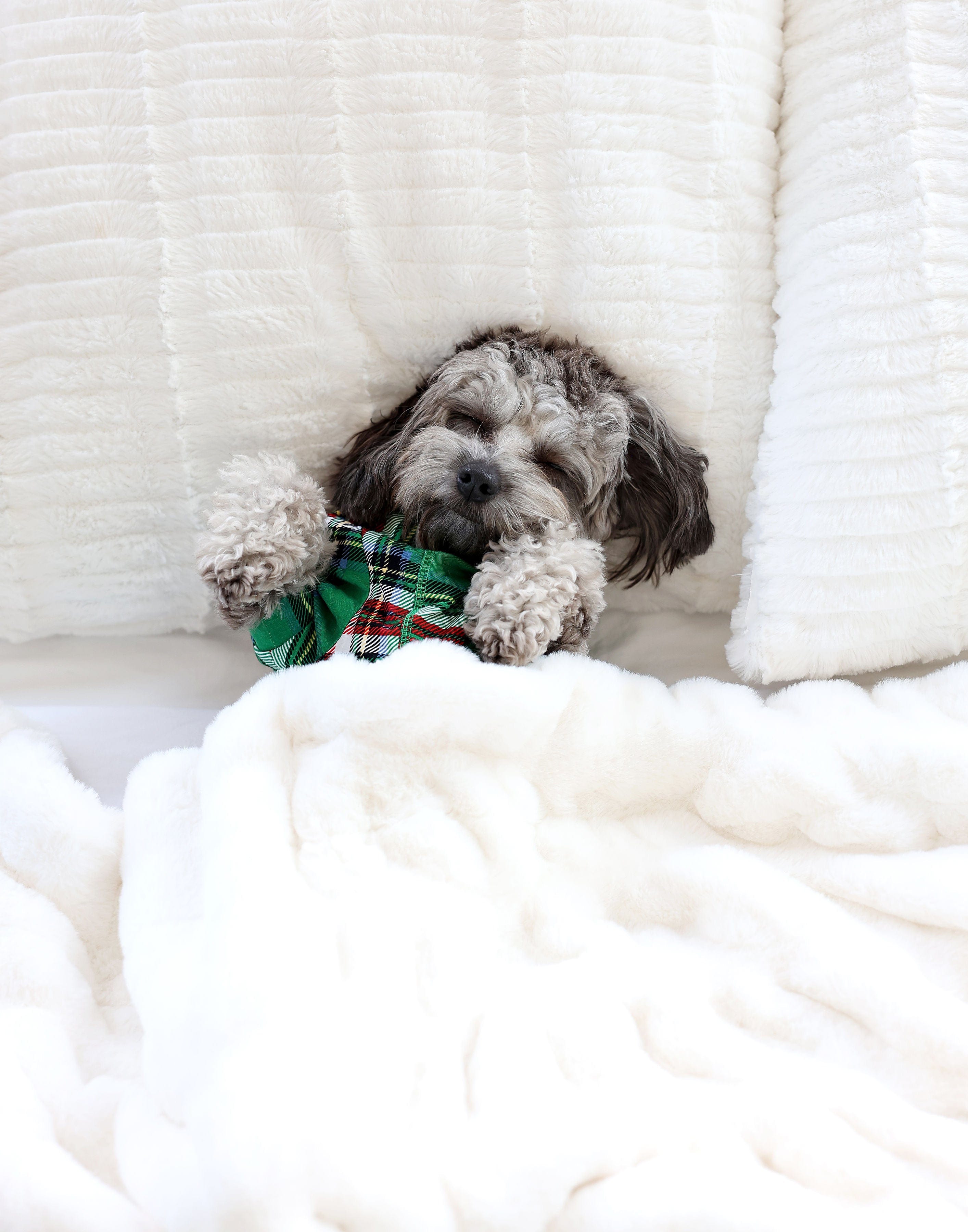 Pet Pajamas - Christmas Plaid Green