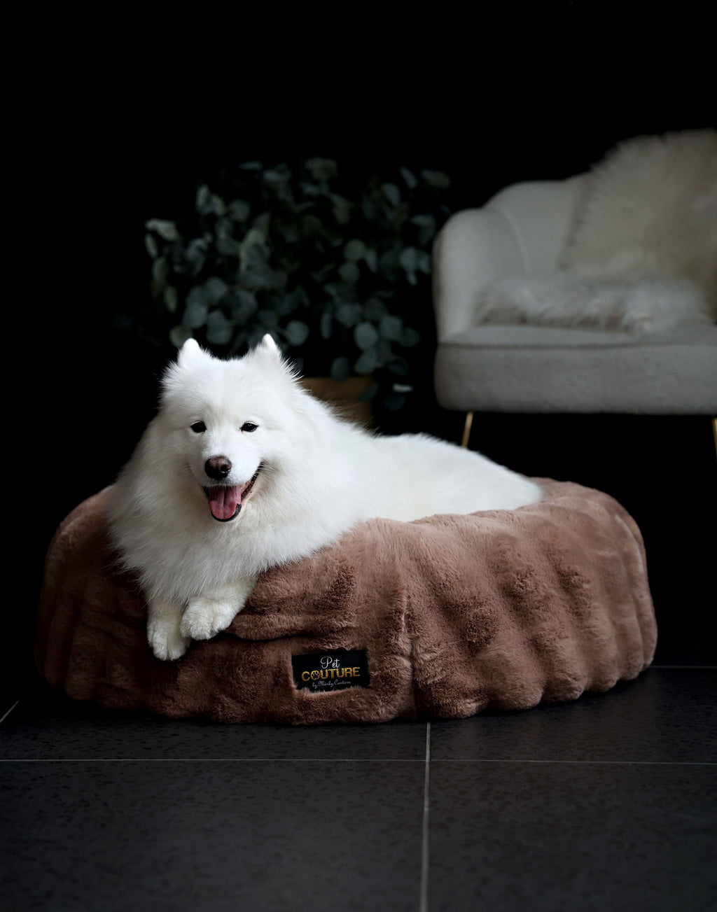 Milk Chocolate Pet Bed COVER ONLY