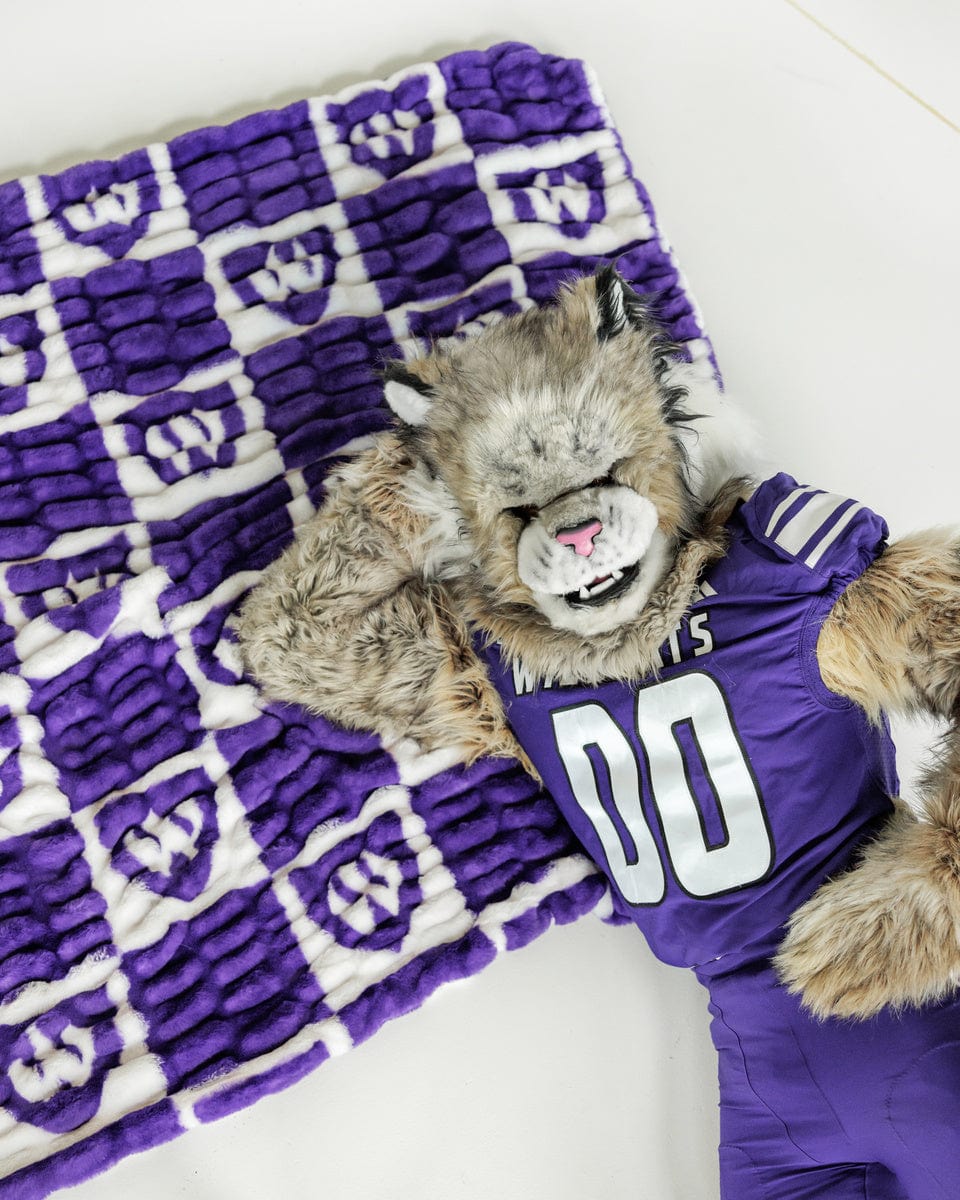 Weber State Wildcats Blanket - Hugs